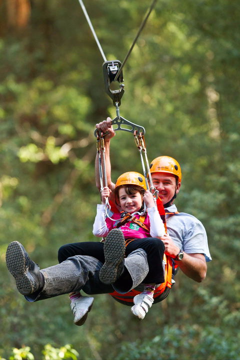 Zipline At Illawarra Fly - Northern Rivers Accommodation 0