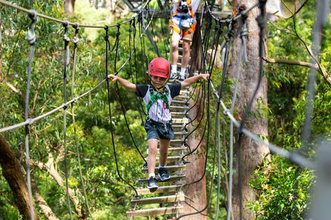 Zipline At Illawarra Fly - Northern Rivers Accommodation 1