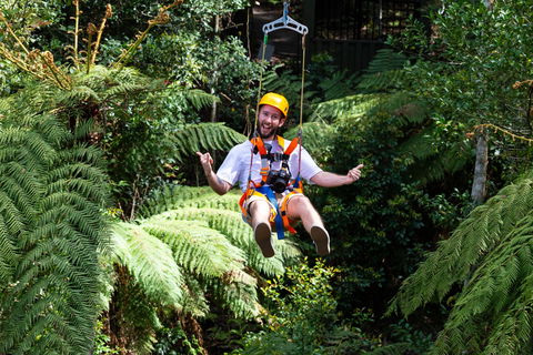 Zipline At Illawarra Fly - Northern Rivers Accommodation 2