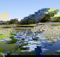 Anderson Park Botanic Gardens - Northern Rivers Accommodation
