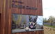 Australian Kelpie Centre - thumb 0