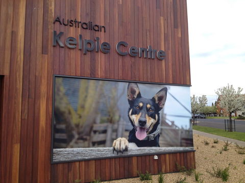 Australian Kelpie Centre - Northern Rivers Accommodation 0
