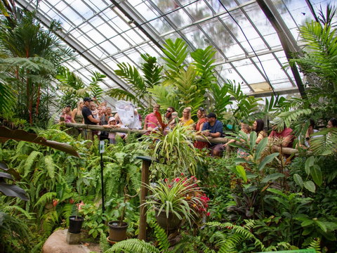 Australian Butterfly Sanctuary - Northern Rivers Accommodation 2