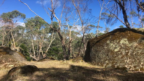 Bailey's Rocks - Dergholm State Park - Northern Rivers Accommodation 0