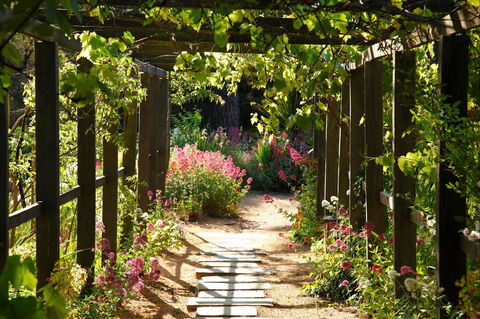 Buda Historic Home & Garden - Northern Rivers Accommodation 2