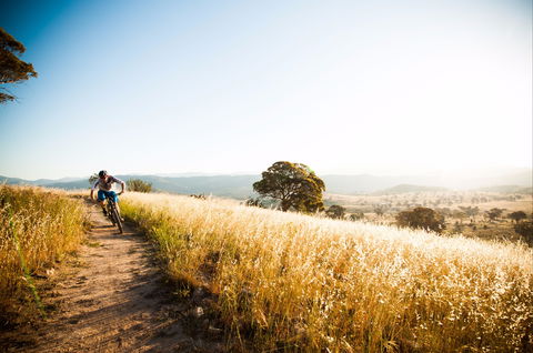 Canberra Centenary Trail - Northern Rivers Accommodation 0