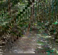 Cascades Walk - Northern Rivers Accommodation