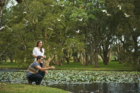 Centennial Parklands - Northern Rivers Accommodation 0