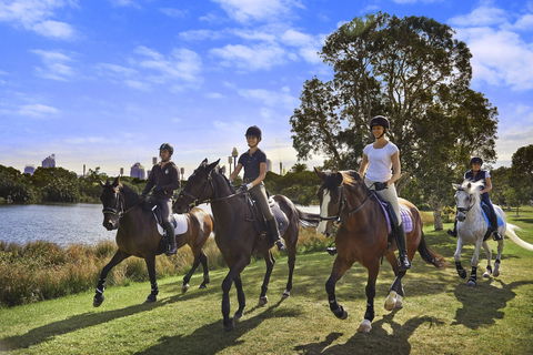 Centennial Parklands - Northern Rivers Accommodation 1