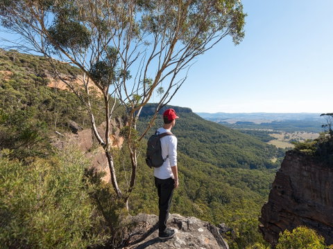 Centennial Glen - Northern Rivers Accommodation 0