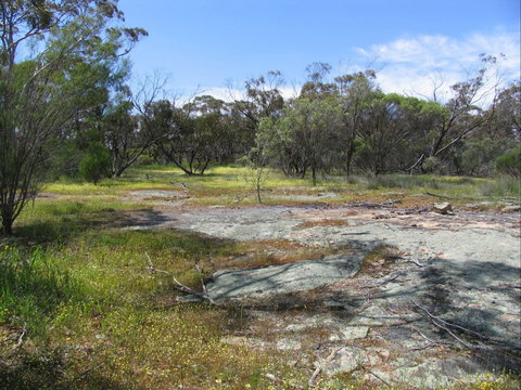 Christmas Rock Walk - Northern Rivers Accommodation 0