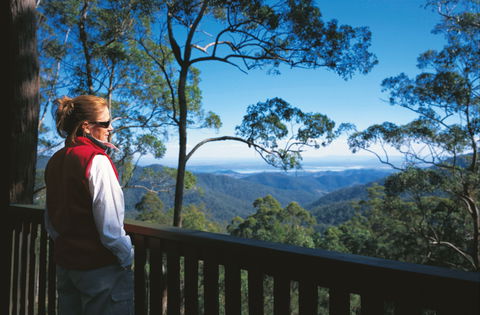 D'Aguilar National Park - Northern Rivers Accommodation 0