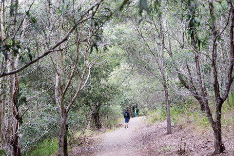 D'Aguilar National Park - Northern Rivers Accommodation 2