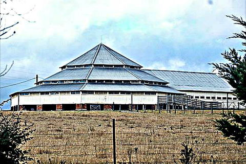 Deeargee Woolshed - Northern Rivers Accommodation 0