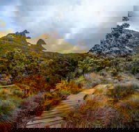Dove Lake - Northern Rivers Accommodation