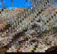 Eualdrie Walking Track - Northern Rivers Accommodation