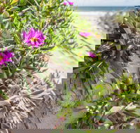 Fort Bribie - Northern Rivers Accommodation