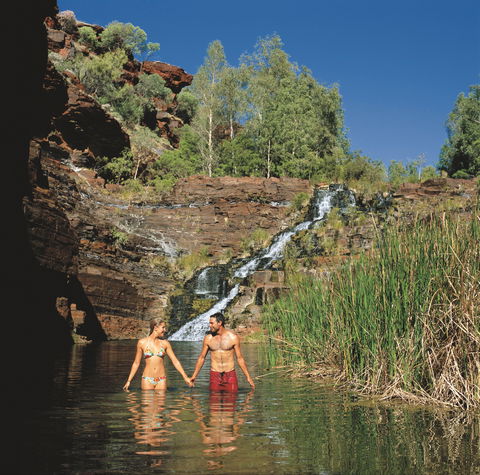 Fortescue Falls - Northern Rivers Accommodation 0