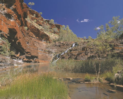 Fortescue Falls - Northern Rivers Accommodation 1