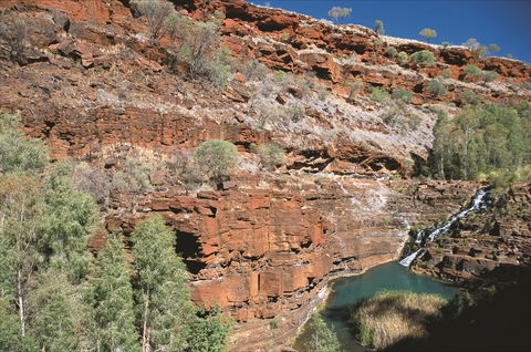 Fortescue Falls - Northern Rivers Accommodation 2