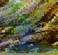 Glimpse of the Outback 5 Day Tour - Roma and Surrounds - Northern Rivers Accommodation