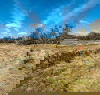 Goldseekers track - Northern Rivers Accommodation