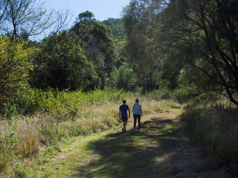 Goolman Lookout Via Rocky Knoll Lookout Trail - Northern Rivers Accommodation 2