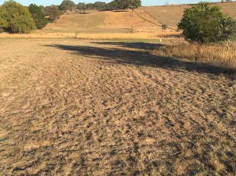 Gunning Golf Club - Northern Rivers Accommodation 0