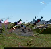 Jim Salmon  Wetland Education Site - Northern Rivers Accommodation