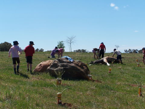 Jim Salmon  Wetland Education Site - Northern Rivers Accommodation 0