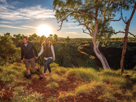 Joffre Falls Lookout - Northern Rivers Accommodation 1