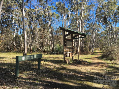 Kaiserstuhl Conservation Park - Northern Rivers Accommodation 0