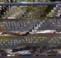 Kuriong Sheep Station - Northern Rivers Accommodation