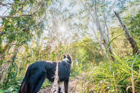 Lamb Island (Nguderoo) - Northern Rivers Accommodation 1