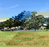 Leacock Picnic Area - Northern Rivers Accommodation