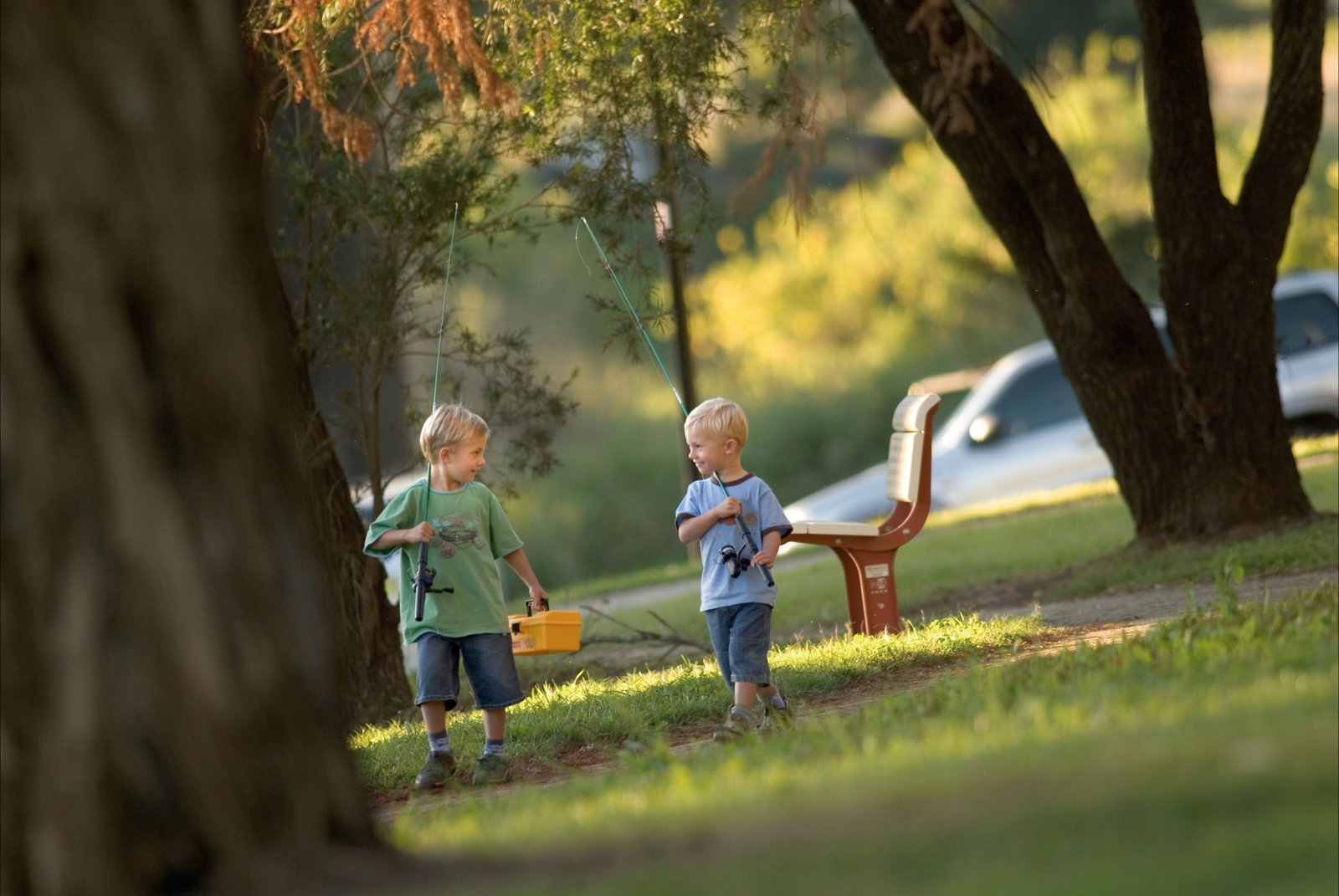 Loftville NSW Northern Rivers Accommodation