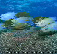 Lodestone Reef - Northern Rivers Accommodation