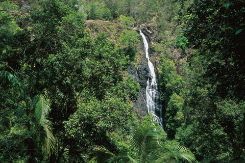 Mapleton Falls National Park - Northern Rivers Accommodation 0