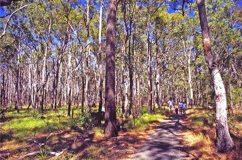 Moogerah Peaks National Park - Northern Rivers Accommodation 1