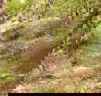 Mount Carnarvon Walking Track - Northern Rivers Accommodation