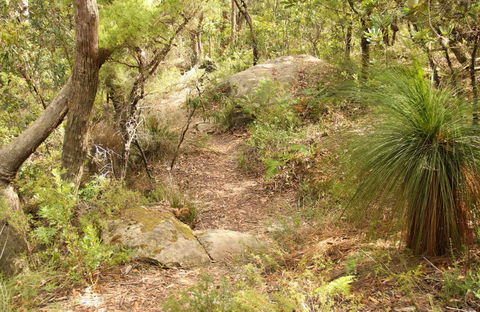 Mount Carnarvon Walking Track - Northern Rivers Accommodation 0