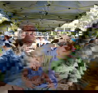 Murwillumbah Farmers' Market - Northern Rivers Accommodation