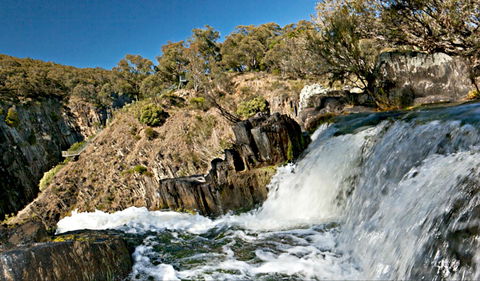 Oxley Walking Track - Northern Rivers Accommodation 0
