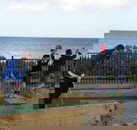 Port Vincent Putt Putt - Northern Rivers Accommodation