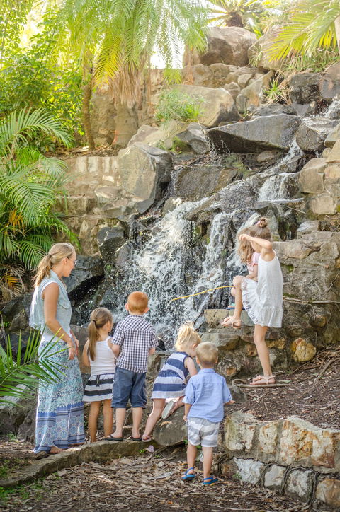 Queens Park Waterfall - Northern Rivers Accommodation 0