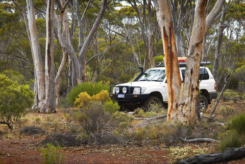 Ravensthorpe Range - Northern Rivers Accommodation 0