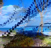 Shark Bay - Northern Rivers Accommodation