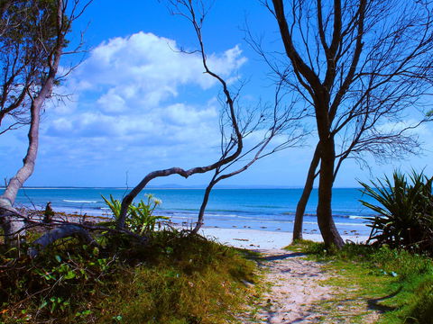 Shark Bay - Northern Rivers Accommodation 0