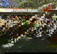 Skirmish Ulladulla