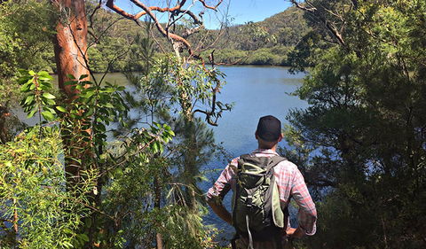 Sphinx Memorial To Bobbin Head Loop Track - Northern Rivers Accommodation 0